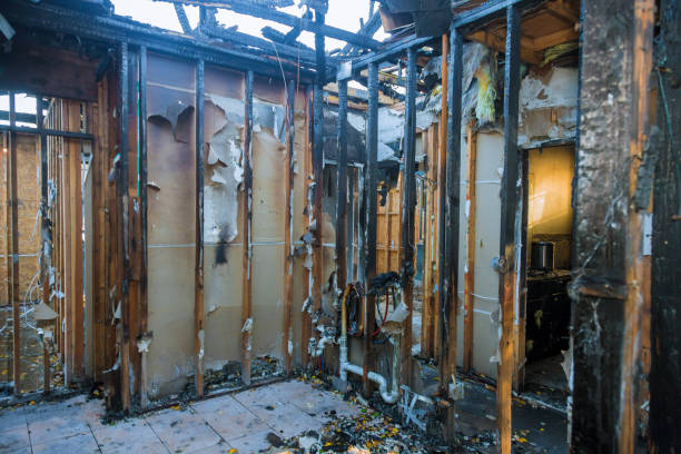 Professional Fire Damage Removal technician working in West Sayville, NY